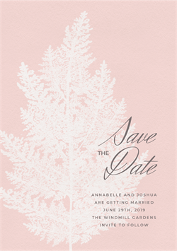 designer image 36200