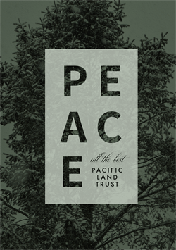 designer image 37125