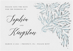 designer image 37882