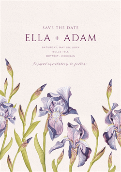 designer image 38823