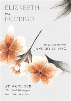 designer image 38875