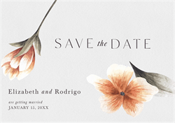 designer image 39860