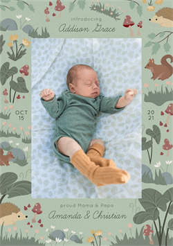 designer image 40055