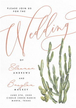 designer image 41677