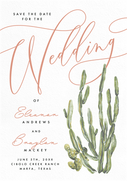 designer image 41935