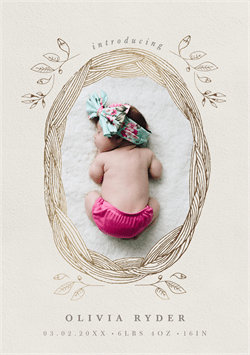 designer image 42022