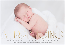 designer image 42049