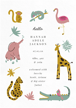 designer image 42115