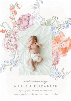 designer image 42507