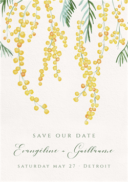 designer image 42602