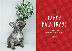 designer image 42645