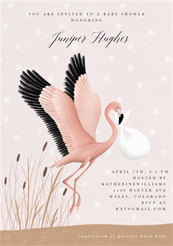 designer image 42714