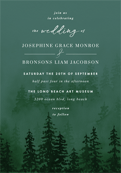 designer image 42973