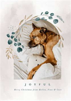 designer image 43316