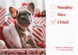 designer image 43373