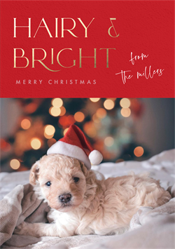 designer image 43926