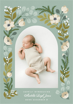 designer image 44002