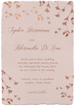 designer image 44938