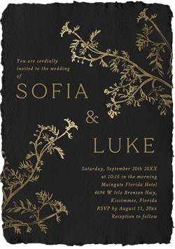 designer image 45420