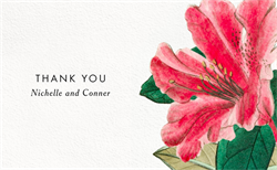 designer image 45478