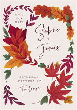 designer image 46009