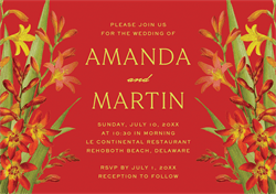 designer image 46429