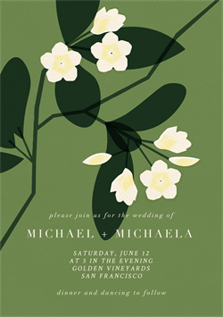 designer image 47337