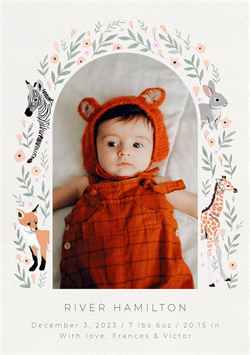 designer image 47338