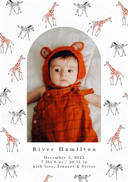 designer image 47400