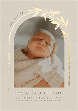 designer image 47663