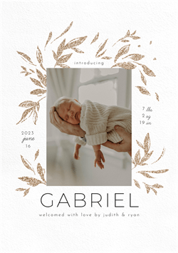 designer image 47672