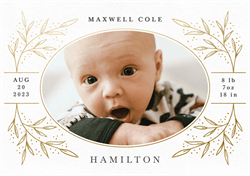 designer image 47821