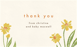 designer image 47848