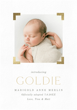 designer image 48109