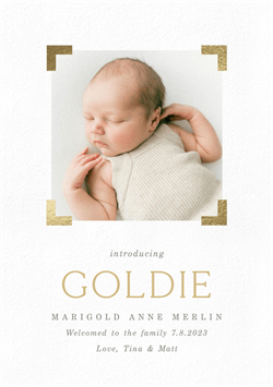 designer image 48109