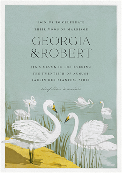 designer image 50056