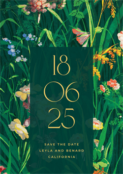 designer image 50297