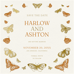 designer image 50373