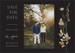 designer image 50783