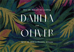 designer image 50821