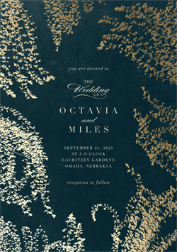 designer image 50881