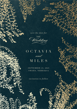 designer image 51454