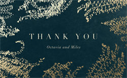 designer image 51464