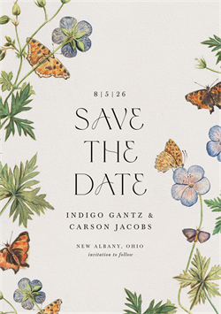 designer image 51561