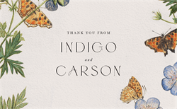 designer image 51567