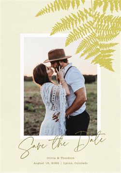 designer image 51701