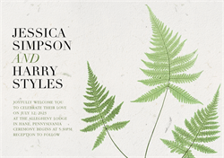 designer image 51823