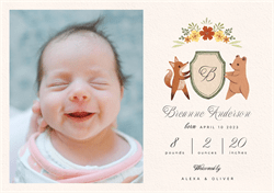 designer image 52421