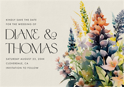 designer image 53699