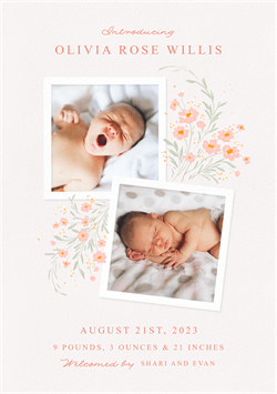 designer image 54320